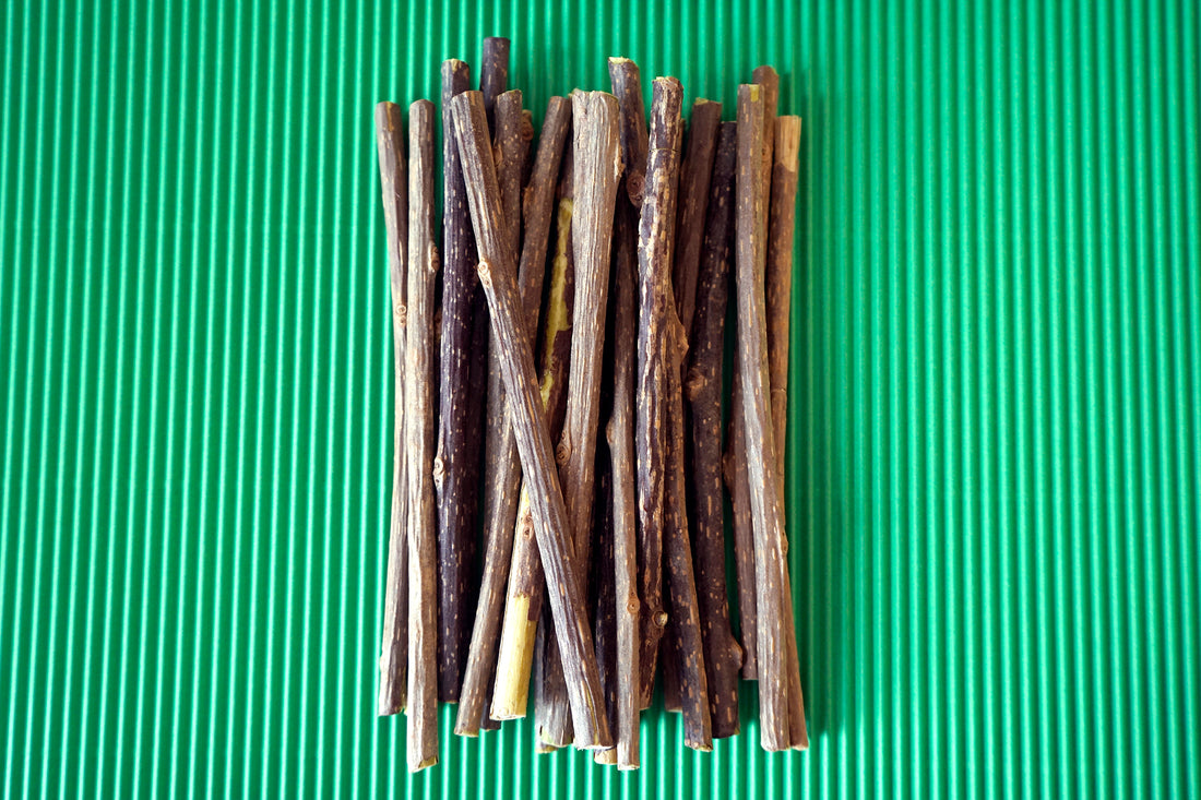 MATATABI O SILVERVINE: Cómo usarlo para educar a tu feline