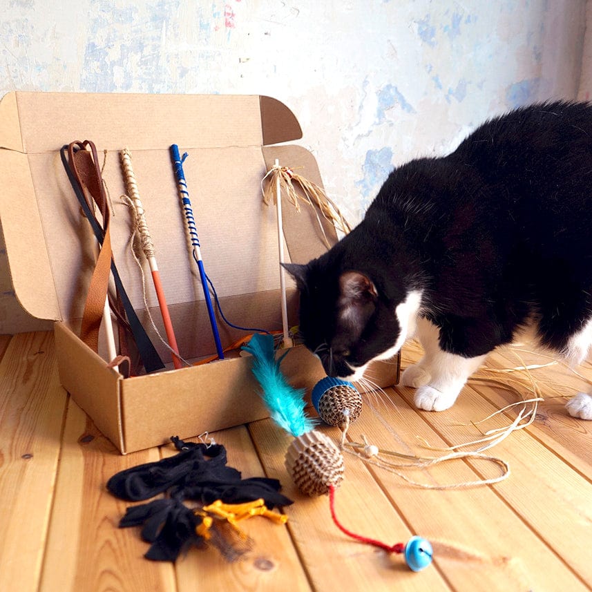 amor de gato Accesorios de muebles para gatos Vegan CAJA DE JUGUETES AMOR DE GATO