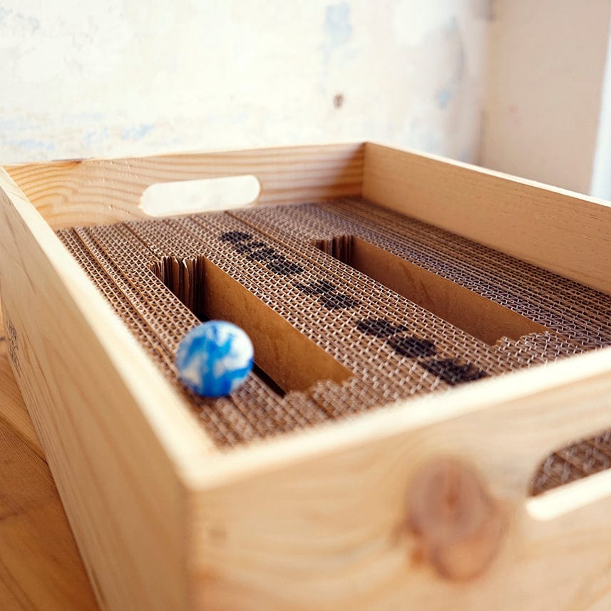 amor de gato juguetes CAJA DAKOTA