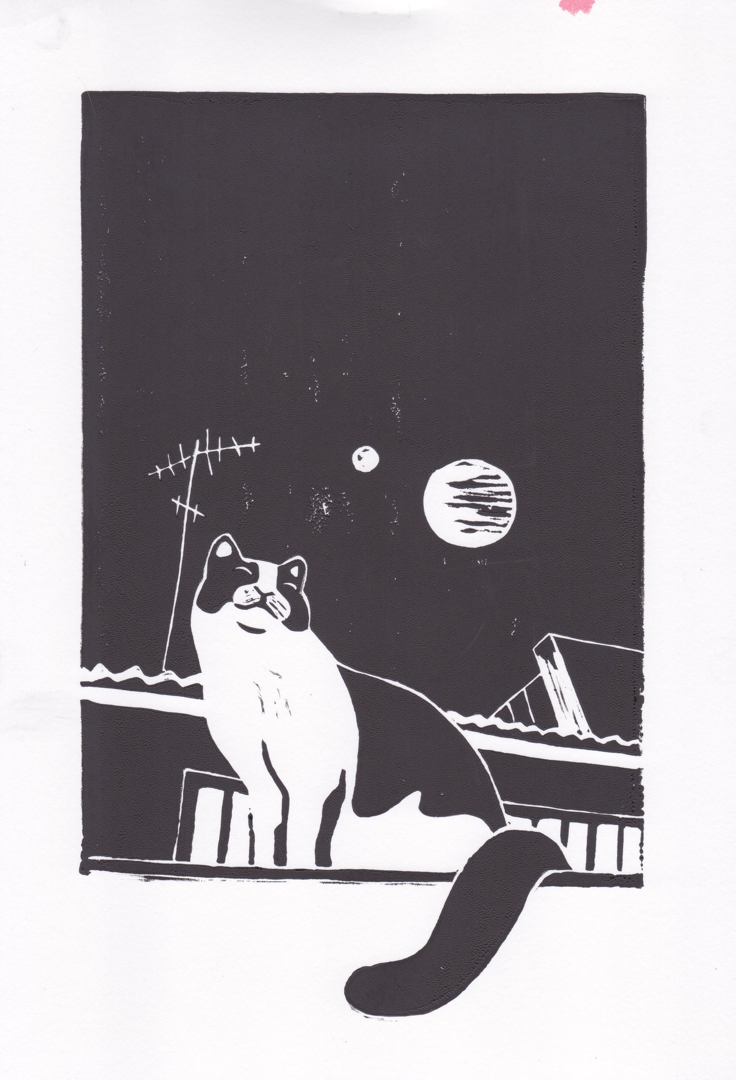 Libertad en el tejado