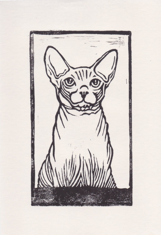 Rey Sphynx