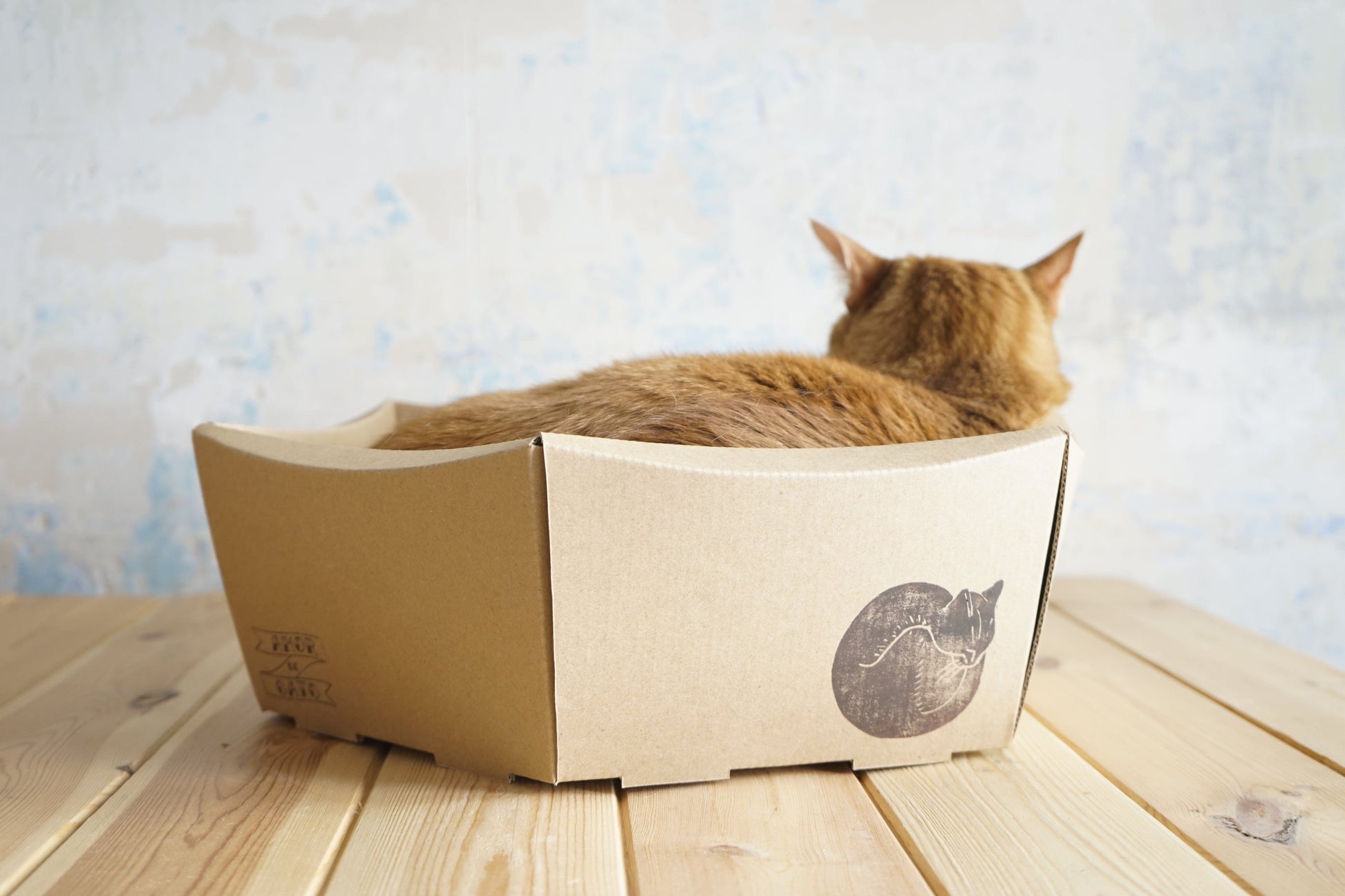 amor de gato catshop camitas Grande CESTA WILLOW